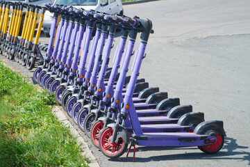 A long row of purple and yellow electric scooters neatly parked on a city sidewalk ready for summer...