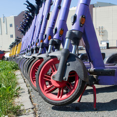 A lineup of colorful electric scooters parked on a city sidewalk awaiting rental on a bright summer day. Photo