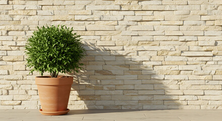 Small potted plant against a light beige brick wall background perfect for home decor blogs and websites