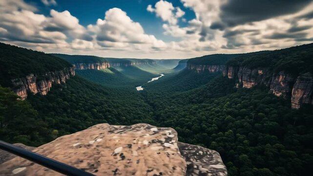 Scenic Overlook of Tennessee's Fiery Gizzard Gorge