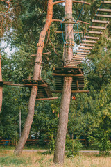 Wooden platforms and rope bridges attached to tall trees for adventure park activity.

