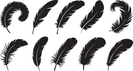 Obraz premium Set of Feather Silhouettes in Black and White Nature Art with Minimalist Bird Design and Elegant Quill Illustration