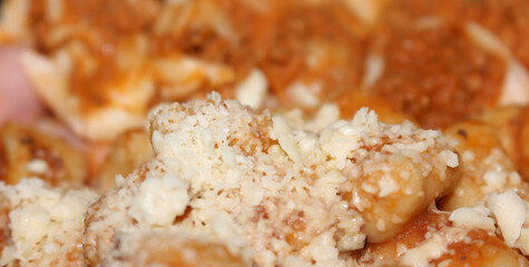 Gnocchi Tomato Sauce. Grated Cheese. Blurred Lasagna. Gnocchi with selective focus. Gnocchi with tomato sauce and grated cheese with blurred lasagna in the background.