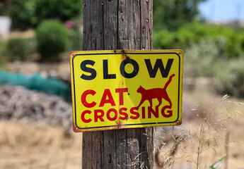 Ein Hinweisschild wegen Katzen die die Straße überqueren.