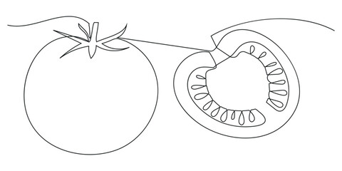 Continuous one line drawing of a tomato, fresh tomato fruit vegetable in Continuous one line drawing
