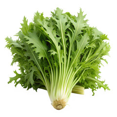 mizuna vegetable isolated on white background