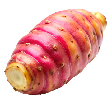 oca vegetable isolated on white background