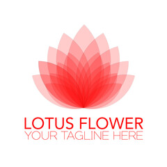 Elegant Lotus Flower Logo: Serenity, Growth, Purity, Balance, Spiritual, Nature, Bloom, Design