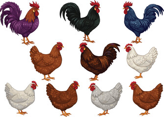 Farm Animal Illustrations: Diverse Roosters and Hens in Vibrant Colors for Creative Projects