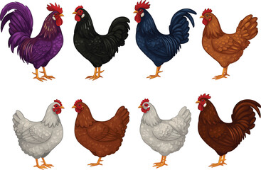 Farm Animal Illustrations: Diverse Roosters and Hens in Vibrant Colors for Creative Projects