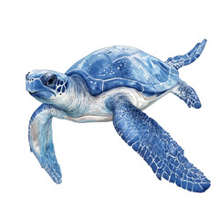 Fototapeta premium Leatherback Sea Turtle, watercolor vector, isolated on a white background.
