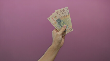 Man holding romanian leu banknotes with a pink background, highlighting the currency and isolated...