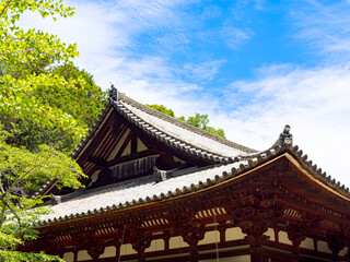 【奈良県】奈良市 霊山寺 (2025/06/25撮影)