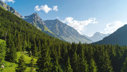Serene Mountain Landscape with Lush Green Forest and Blue Sky
