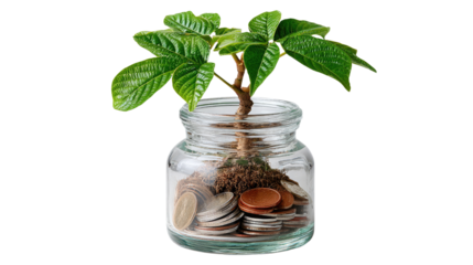 Growth in a Glass Jar: A young plant sprouts from a bed of coins in a transparent jar, symbolizing financial growth, investment, and the potential for future prosperity.