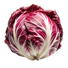 Fototapeta premium radicchio vegetable isolated on white background