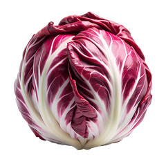 Obraz premium radicchio vegetable isolated on white background