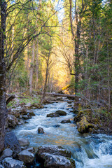 Tretya Rechka river or The third river flowing near Artybash town. Pristine freshwater river landscape in Altai region Russia