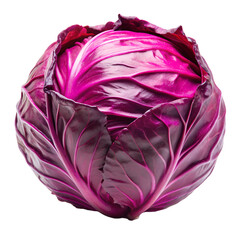 Obraz premium cabbage vegetable isolated on white background