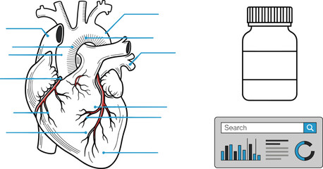 Cardiovascular Health Research: Analyzing Heart Anatomy, Pharmaceutical Solutions, and Medical Data for Advanced Healthcare Discoveries