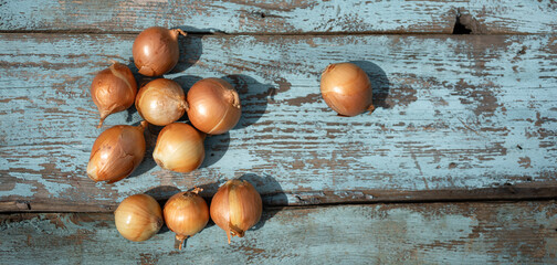 Freshly harvested onions resting on a rustic blue wooden table in warm afternoon sunlight