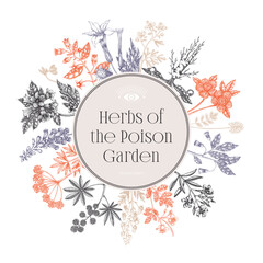 Witchcraft book cover design. Poisonous plants hand-drawn vector illustration. Witch's Herbs Apothecary vintage frame, card, invitation, print. NOT AI generated