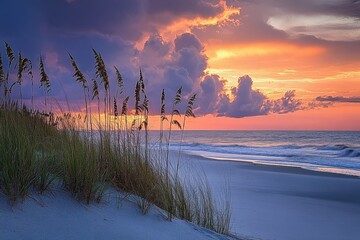 North Carolina Beach Sunset: Coastal Getaway with Sea Oats and Ocean Views