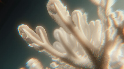  Close-Up Macro View of a Fractal Coral-Like Pattern Growing Digitally, Featuring Organic Shapes Merging with Code, Glowing Lines, and an Ultra-Detailed Digital-Natural Fusion