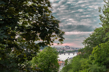 Prague Castle and Vltava River at sunset seen through leafy trees from Vyšehrad viewpoint