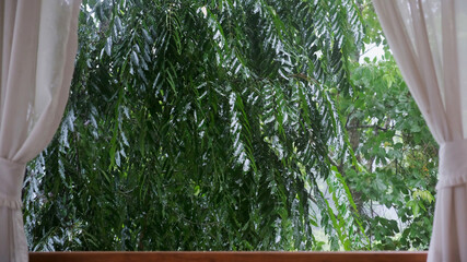 Raining over the trees outside the window