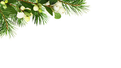 Snowberries (Symphoricarpos albus) with green leaves and twigs of Christmas tree in a corner arrangement  isolated on white or transparent background