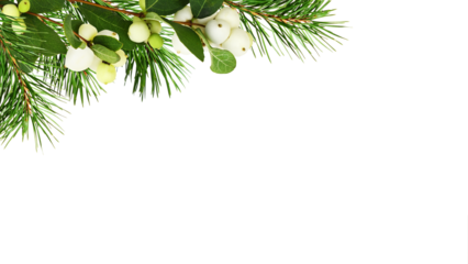 Snowberries (Symphoricarpos albus) with green leaves and twigs of Christmas tree in a corner arrangement  isolated on white or transparent background
