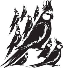 Cockatiel Parrot Vector 