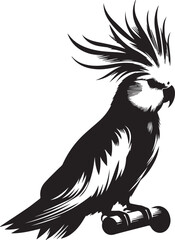 Cockatiel Parrot Vector 