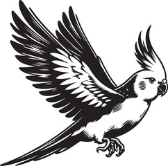 Cockatiel Parrot Vector 