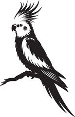 Cockatiel Parrot Vector 