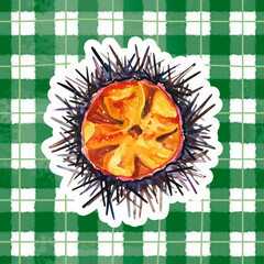 Watercolor hand painted delicious raw seafood sea urchin simple sketch illustration on traditional stripped background. Clip art for French cuisine menu, social media, ads and posters