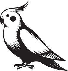 Cockatiel Parrot Vector 