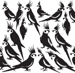 Cockatiel Parrot Vector 