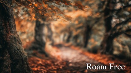 Fototapeta premium Simple scene with blurred tents and woods behind the phrase 