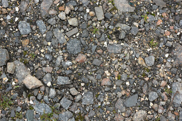  Broken blue flower petals on the ground in the garden. Blue flower petals on the ground. Blue flower petals on the ground. Human frivolity, a broken blue bottle.