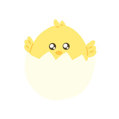 Chicken and egg