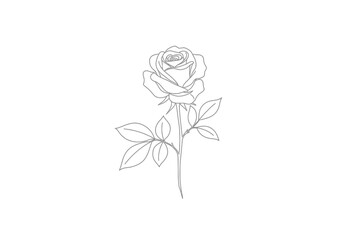 Obraz premium Aesthetic rose drawing. It is a black and white outline image of a delicate rose with leaves, perfect for minimalist and aesthetic designs. Vector sketch line art draw.