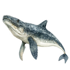 Ichthyosaurus, watercolor drawing vector, isolated on a white background.