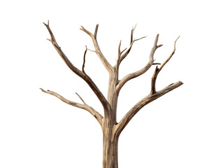 Fototapeta premium Striking and dramatic image of a stark, leafless tree against a transparent background Generative AI