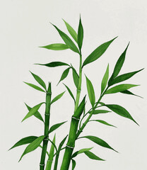 Fortune’s Liquid Grace Auspicious plants Lucky Bamboo isolated watercolor vector illustration svg