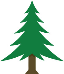 Pine Tree: Evergreen Forest

