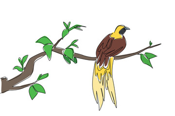 Single one line drawing the bird of paradise perched on a tree branch with leaves. The bird originates from Papua, Indonesia. International Dawn Chorus Day. Continuous line design graphic illustration