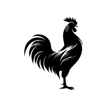 Roster Silhouette Vector