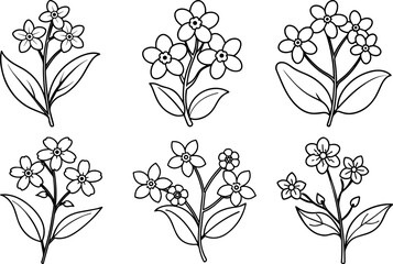 Set of Forget Me Not black outline vector and illustration, coloring book page